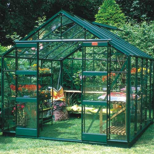 8x10 Greenhouse - Elite Belmont