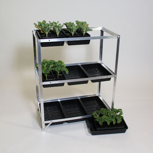 Economy Seed Tray rack