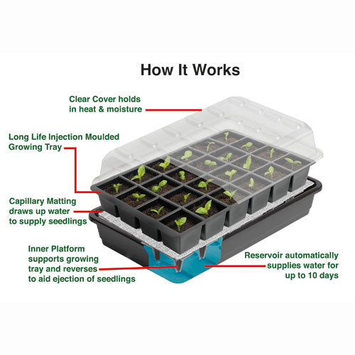 Self Watering Seed Success Kit