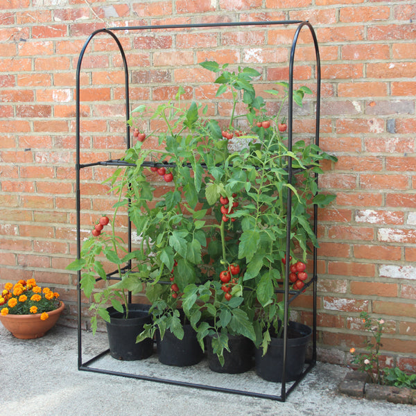 Tomato Crop-Booster Frame