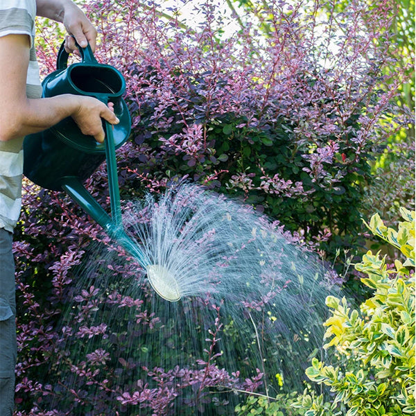 Haws Outdoor Long Reach Watering Can