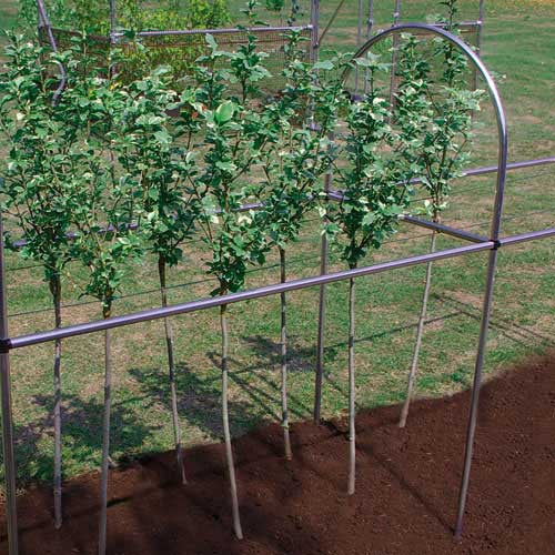 4' Extension to Crop Support frame