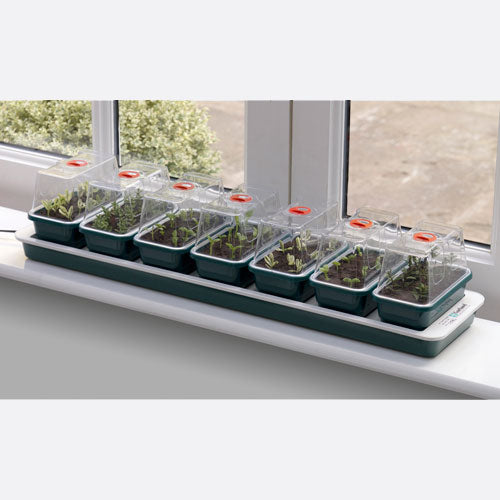 Window Sill Propagator with 14 Seed Trays and Covers