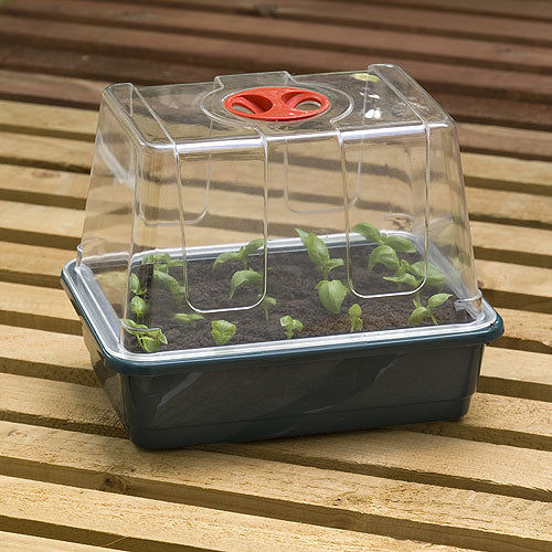 Quarter Seed Tray Covers Pack of 12
