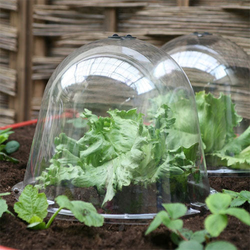 King Size Victorian Bell Cloches (Pack 2)