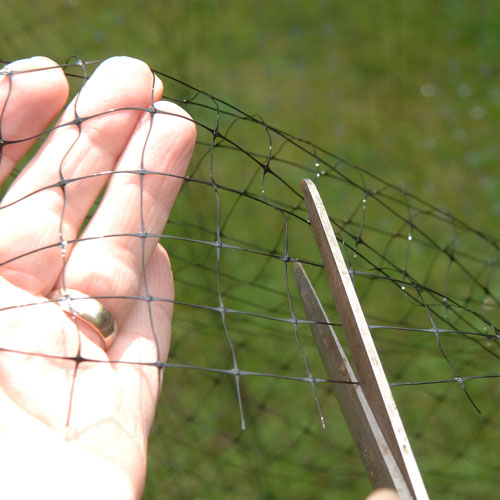 2m Wide Bird Netting per metre