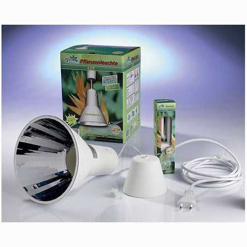 Bio Green Lumino Lighting Kit