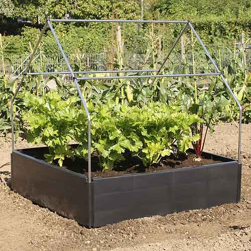 Raised Bed Canopy Support